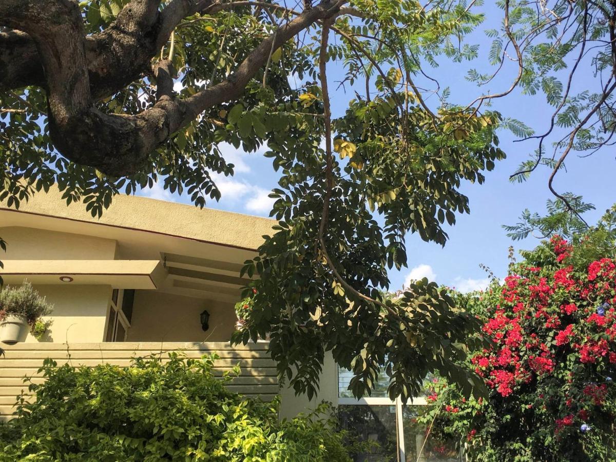 Dickinson Guest House, Guadalajara Expo Екстериор снимка